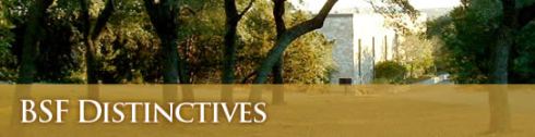 bsf.jpg
