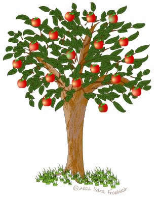 appletree1.jpg