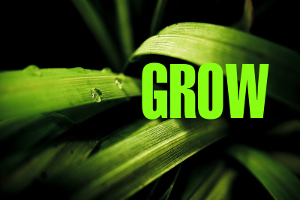 grow